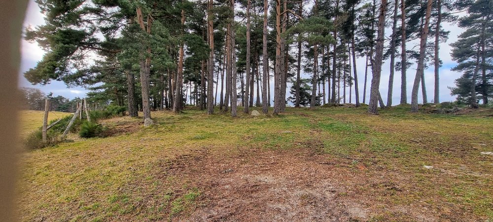 Aire camping-car � Saint-Just (15320) - Photo 17